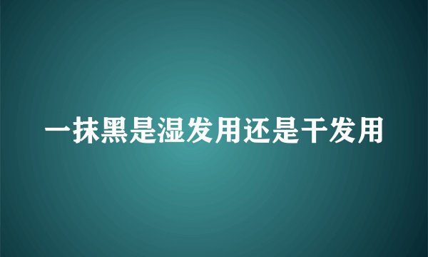 一抹黑是湿发用还是干发用