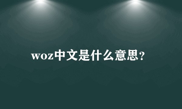 woz中文是什么意思？