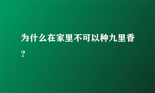 为什么在家里不可以种九里香？
