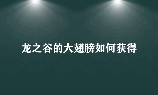 龙之谷的大翅膀如何获得