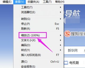 怎么调整IE浏览器中网页对话框大小?