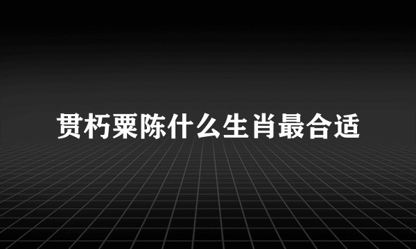 贯朽粟陈什么生肖最合适