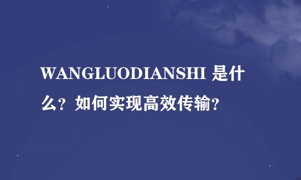 WANGLUODIANSHI 是什么？如何实现高效传输？