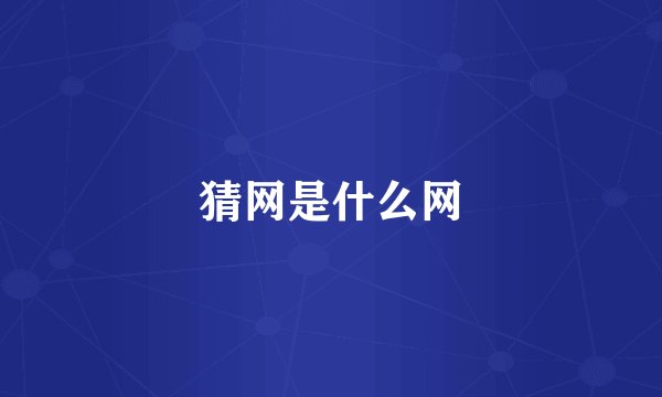 猜网是什么网