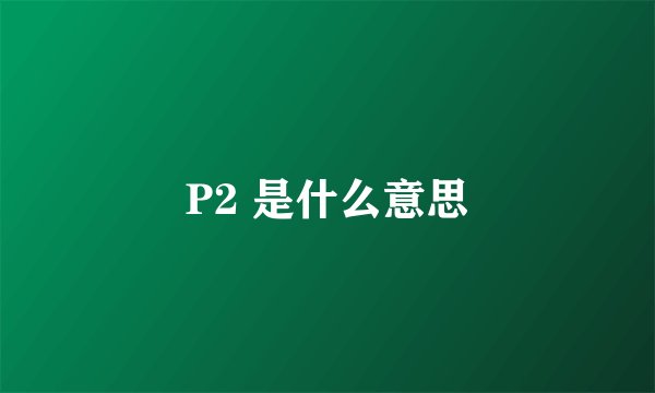 P2 是什么意思