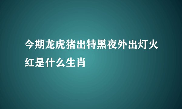 今期龙虎猪出特黑夜外出灯火红是什么生肖