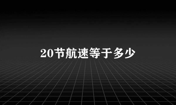 20节航速等于多少