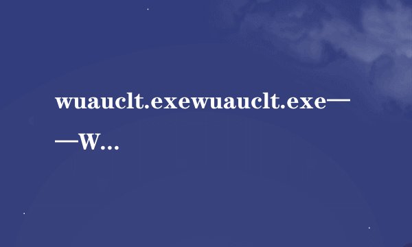 wuauclt.exewuauclt.exe——Windows 系统文件