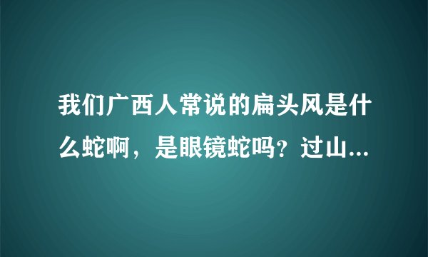 我们广西人常说的扁头风是什么蛇啊，是眼镜蛇吗？过山风是不是就是眼镜王蛇