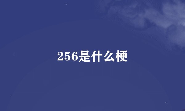 256是什么梗
