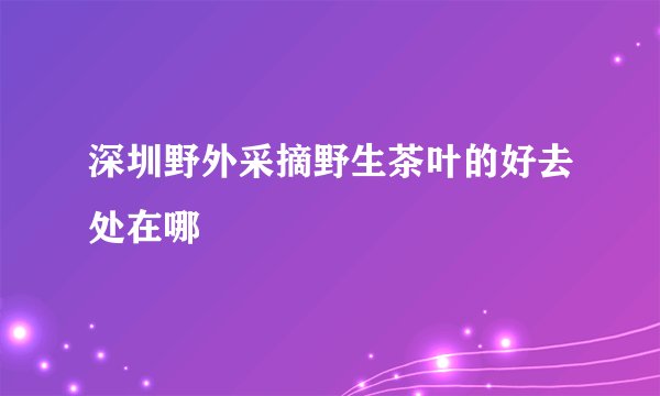 深圳野外采摘野生茶叶的好去处在哪