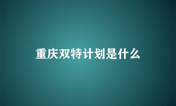 重庆双特计划是什么