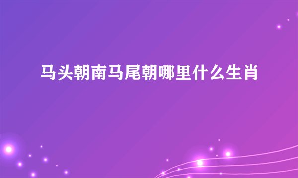 马头朝南马尾朝哪里什么生肖