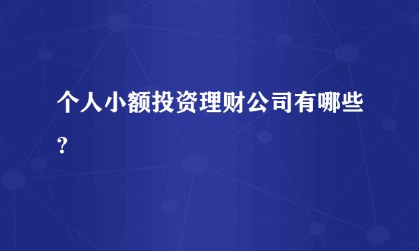 个人小额投资理财公司有哪些？