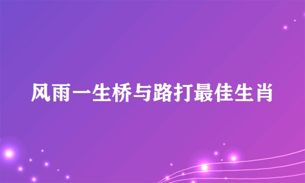风雨一生桥与路打最佳生肖
