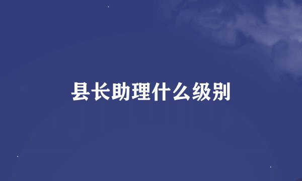县长助理什么级别