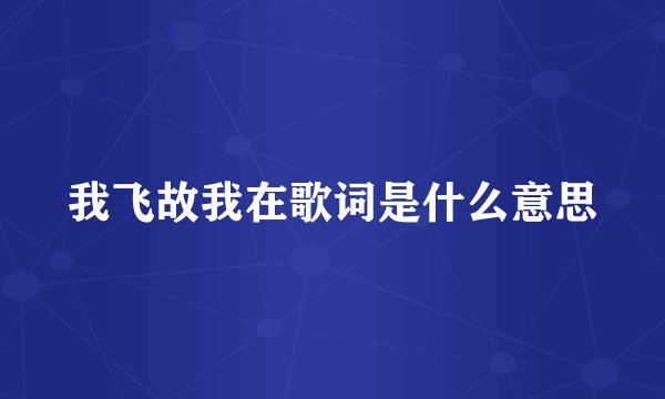 我飞故我在歌词是什么意思
