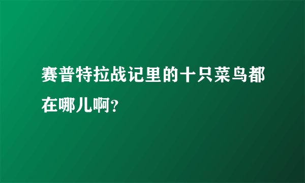 赛普特拉战记里的十只菜鸟都在哪儿啊?