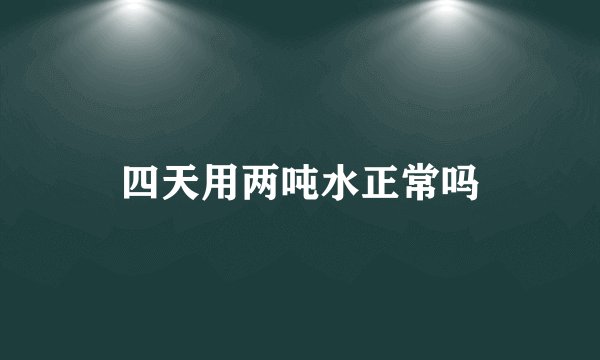 四天用两吨水正常吗