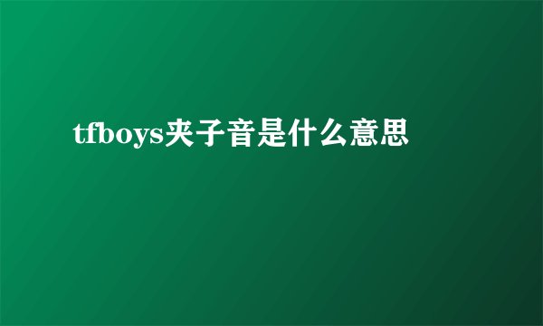 tfboys夹子音是什么意思