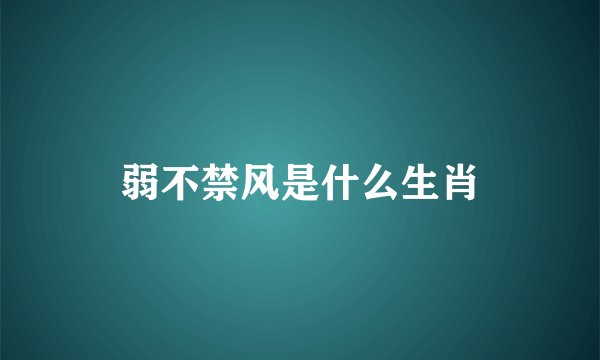 弱不禁风是什么生肖