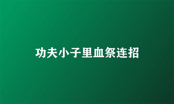 功夫小子里血祭连招