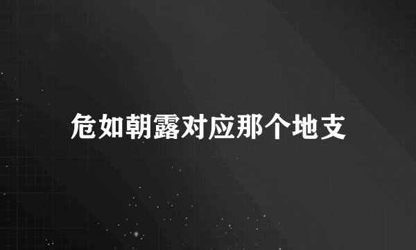 危如朝露对应那个地支