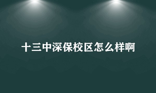 十三中深保校区怎么样啊