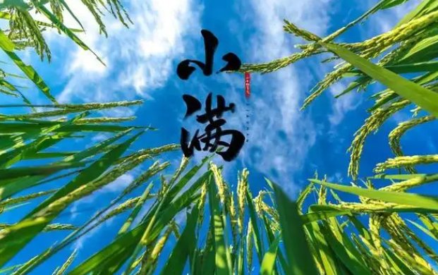 大满是什么意思