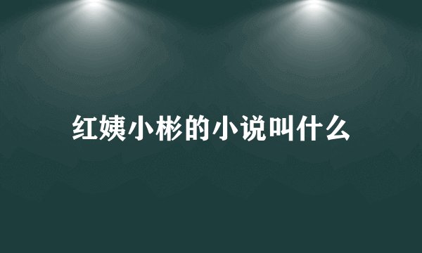 红姨小彬的小说叫什么