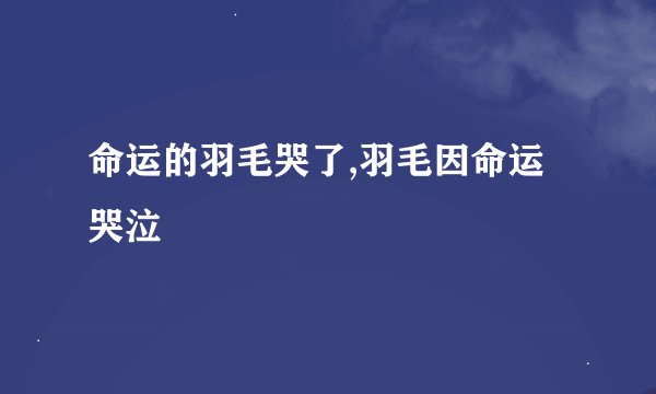 命运的羽毛哭了,羽毛因命运哭泣
