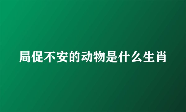 局促不安的动物是什么生肖