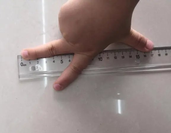 17厘米有多大？