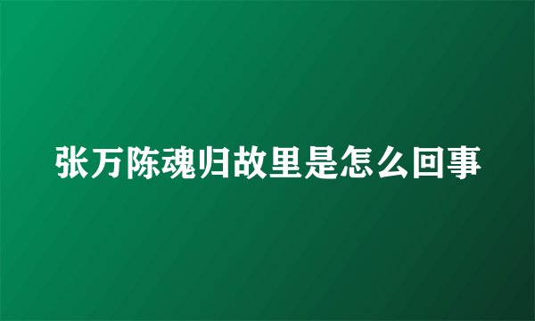 张万陈魂归故里是怎么回事