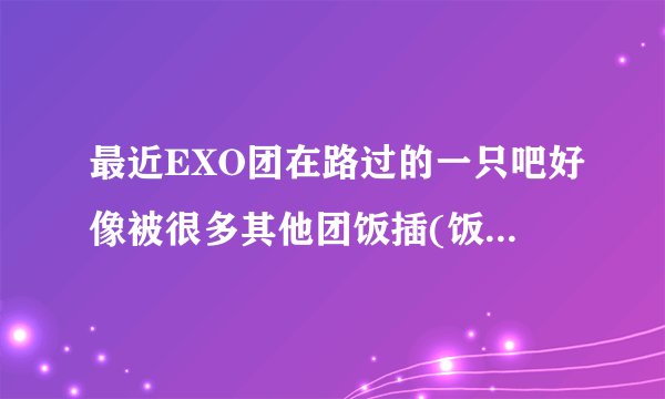 最近EXO团在路过的一只吧好像被很多其他团饭插(饭掐)... 到底发生什麼事了?