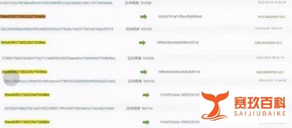 币圈最大资金盘“GEC环保币”被抓，操盘手落网