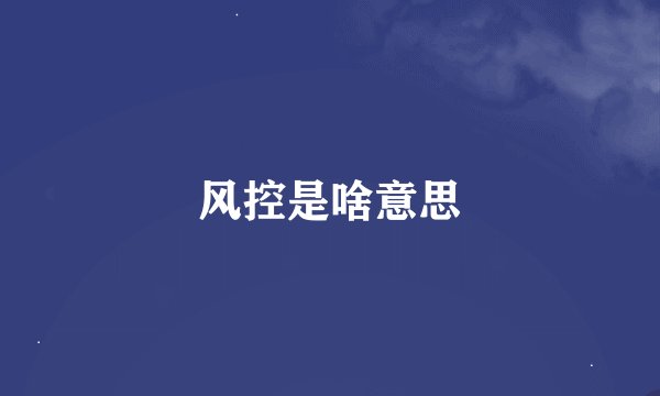 风控是啥意思