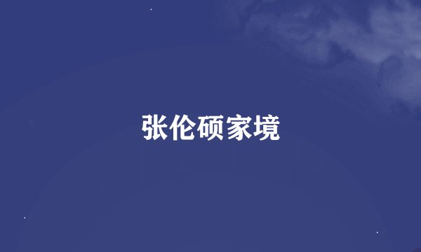 张伦硕家境