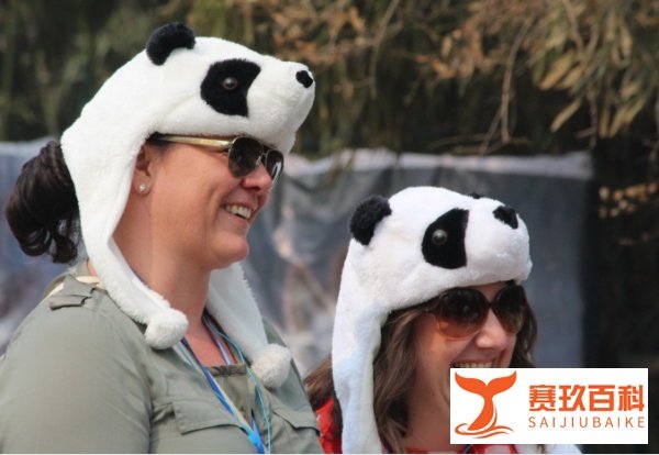 日本网友感慨:不懂英国人怎么想的,他们选择把熊猫送回中国