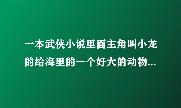 一本武侠小说里面主角叫小龙的给海里的一个好大的动物吞下去后，在肚里面找到武功的叫什么名?