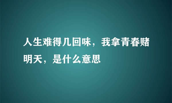 人生难得几回味,我拿青春赌明天,是什么意思
