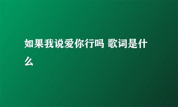 如果我说爱你行吗 歌词是什么