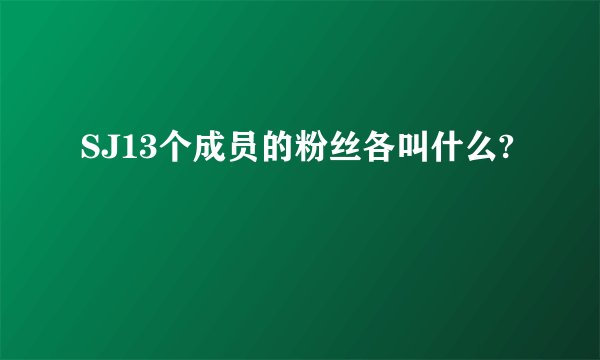 SJ13个成员的粉丝各叫什么?