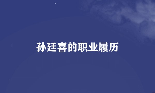 孙廷喜的职业履历