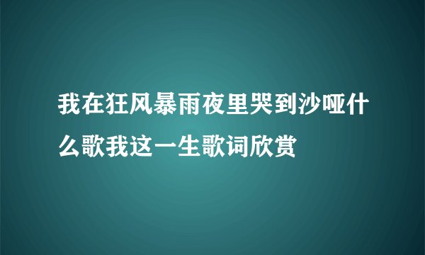 我在狂风暴雨夜里哭到沙哑什么歌我这一生歌词欣赏