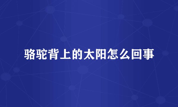 骆驼背上的太阳怎么回事