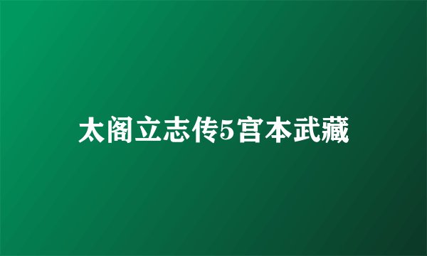 太阁立志传5宫本武藏