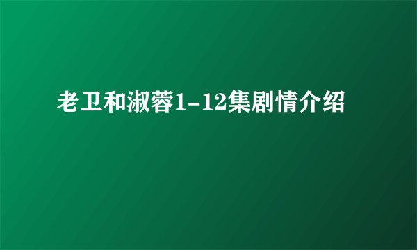 老卫和淑蓉1-12集剧情介绍