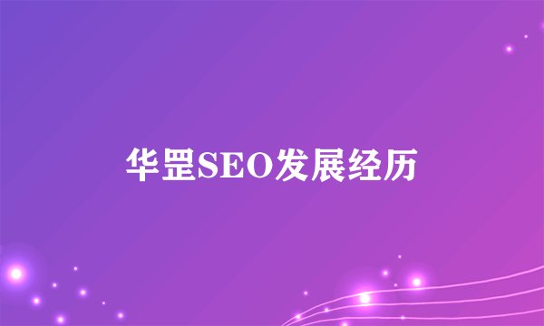 华罡SEO发展经历