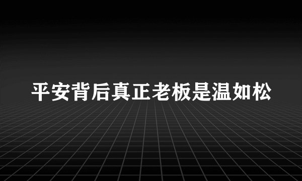 平安背后真正老板是温如松